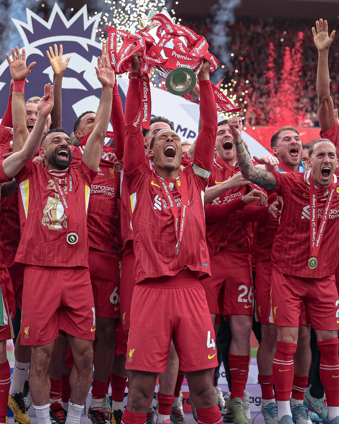 关于硕果累累，新球队夺冠梦想成真的信息